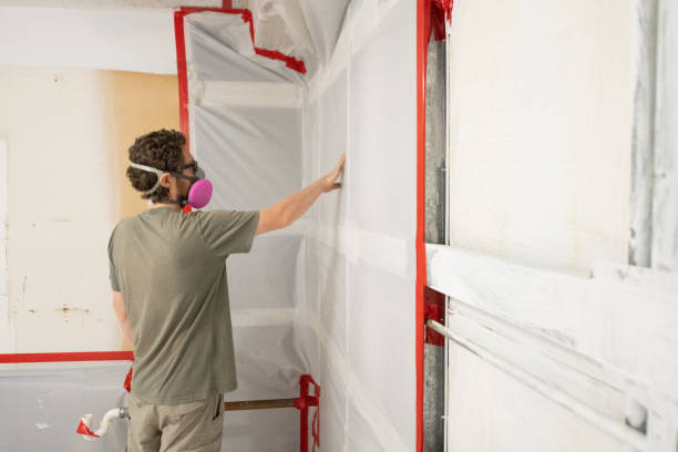 Mold Odor Removal Services in Mascot, TN