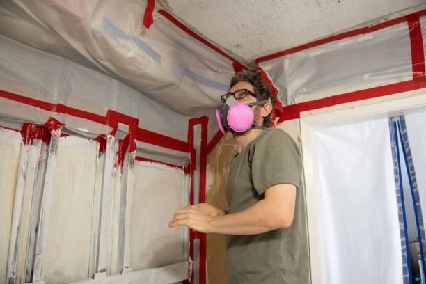 Best Emergency Mold Remediation  in Mascot, TN